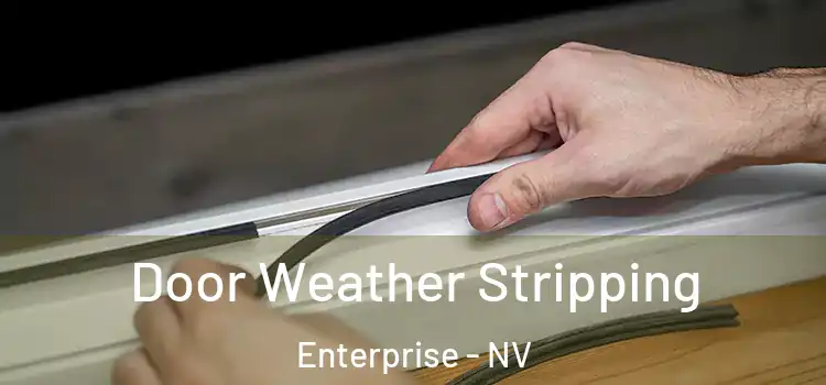  Door Weather Stripping Enterprise - NV