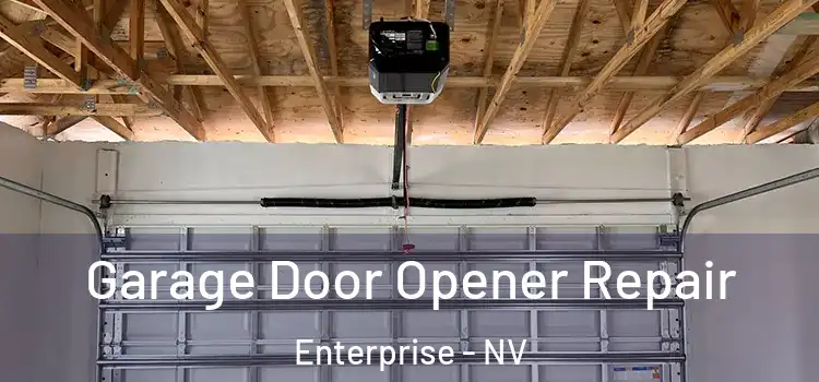  Garage Door Opener Repair Enterprise - NV