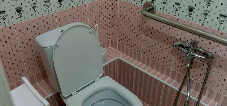 Meeting Diverse Needs With Accessible Restroom Solutions in Enterprise, NV