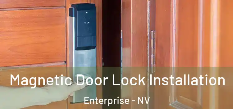  Magnetic Door Lock Installation Enterprise - NV