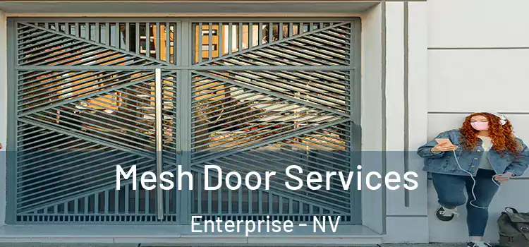  Mesh Door Services Enterprise - NV